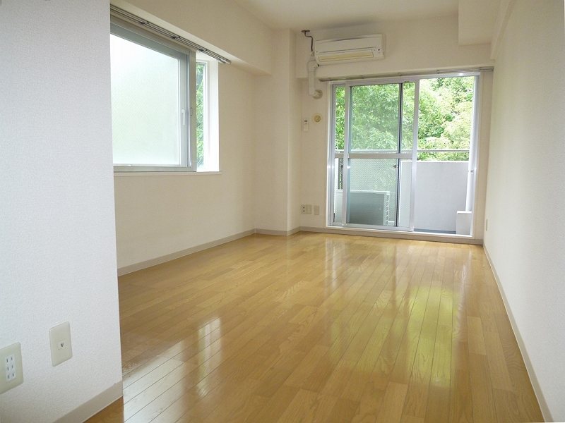 Living and room. Room of the spacious flooring