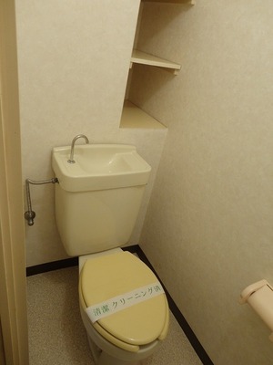 Toilet. There is a shelf in toilet