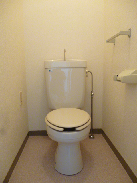 Toilet. Spacious toilet. With shelf
