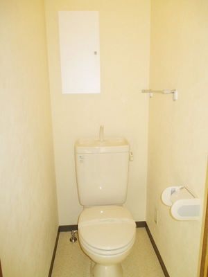 Toilet. Toilet space