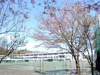 Junior high school. 1633m to Hachioji Municipal Shiroyama Junior High School