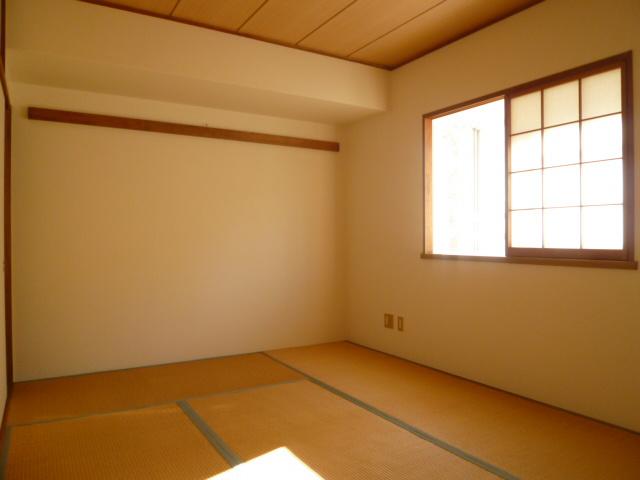 Non-living room. Japanese-style room is also there of course storage.