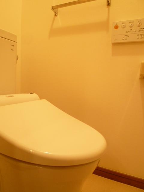 Toilet. Toilet has replaced two years ago with a bidet.