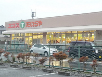 Supermarket. Ecos to (super) 624m