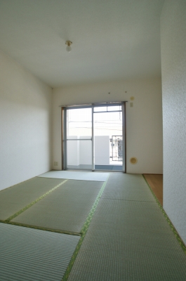 Other room space. Alcove with bright Japanese-style