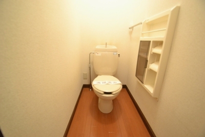 Other. Toilet