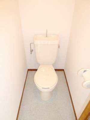 Toilet. Peace of the temporary