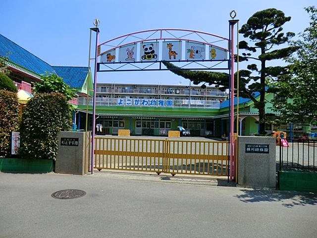 kindergarten ・ Nursery. 660m until cedar child Yokogawa kindergarten
