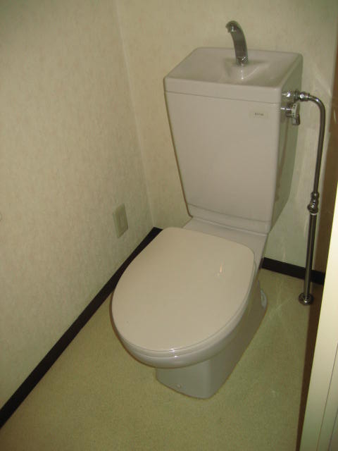 Toilet. Reference photograph