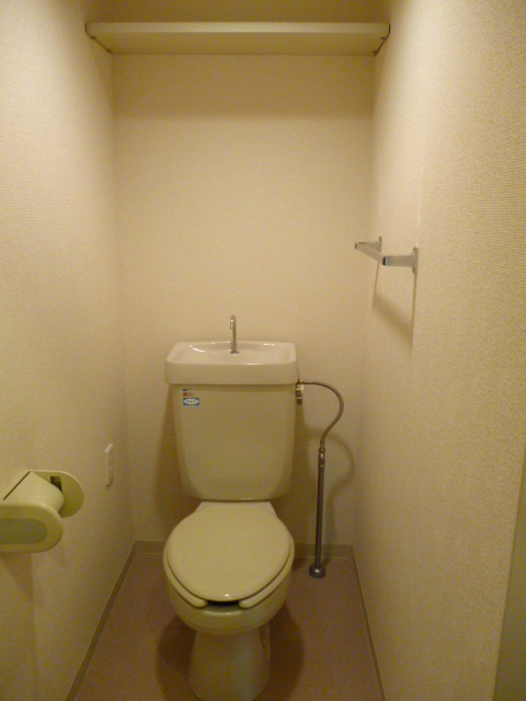 Toilet. The upper part of the tank there is a shelf, Very convenient. No step