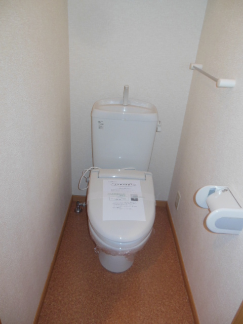 Toilet. Western-style toilet