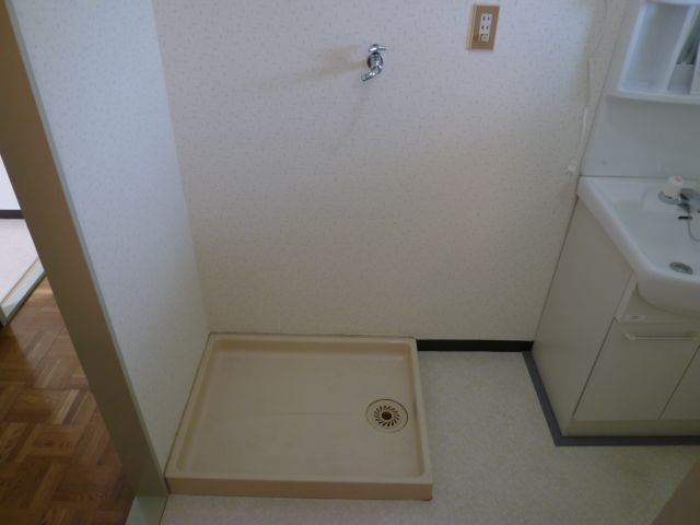 Other room space. Laundry Area