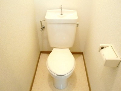 Toilet. Toilet