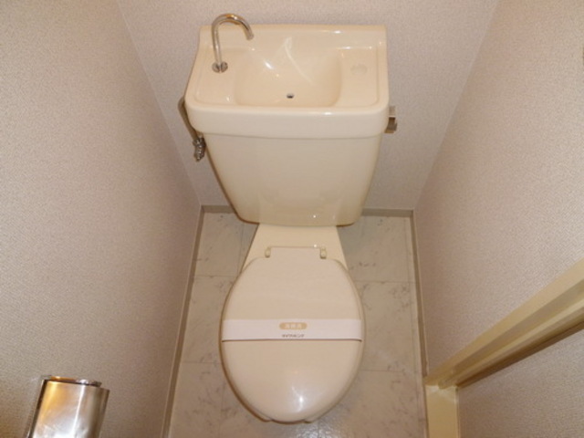 Toilet. Toilet