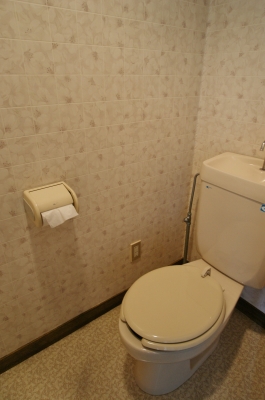 Other. Toilet