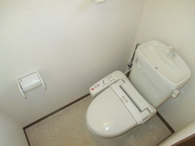 Toilet. Toilet is equipped with hot-water cleaning toilet seat