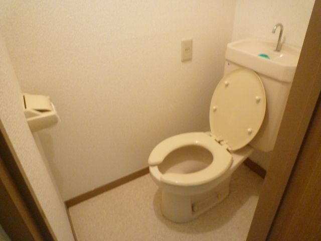 Toilet. Bathing and toilet separately