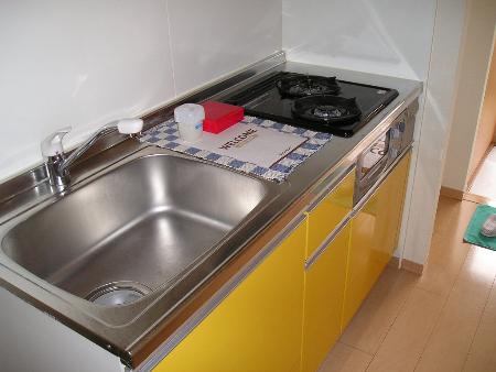 Kitchen. System is a kitchen two-burner gas (with grill). 