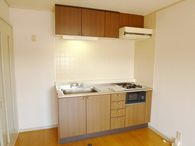 Kitchen. There is also housed in the upper part