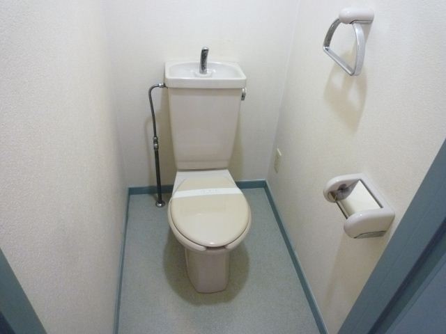 Toilet. Toilet