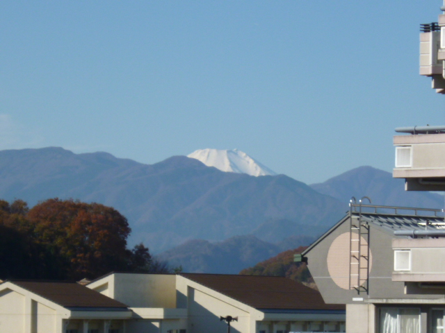 View. Sunny day overlooks the head of Mount Fuji from the west side of the window of the Western-style 10.1 quires.