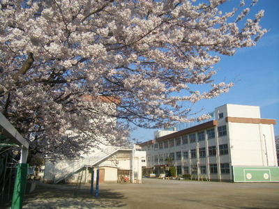 Primary school. 197m to Hachioji Municipal second elementary school (elementary school)