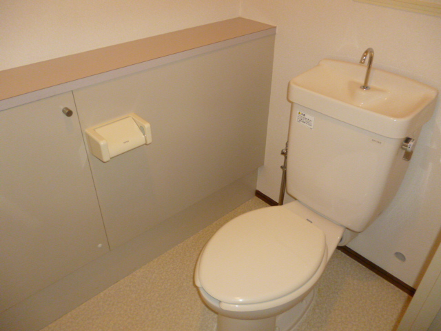 Toilet. Toilet with storage shelf.