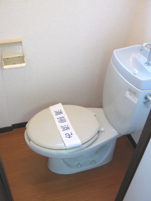 Other. Toilet