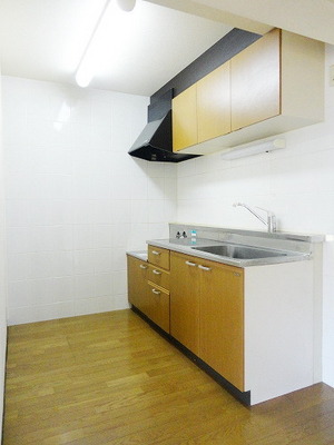 Kitchen. Spacious independent kitchen space