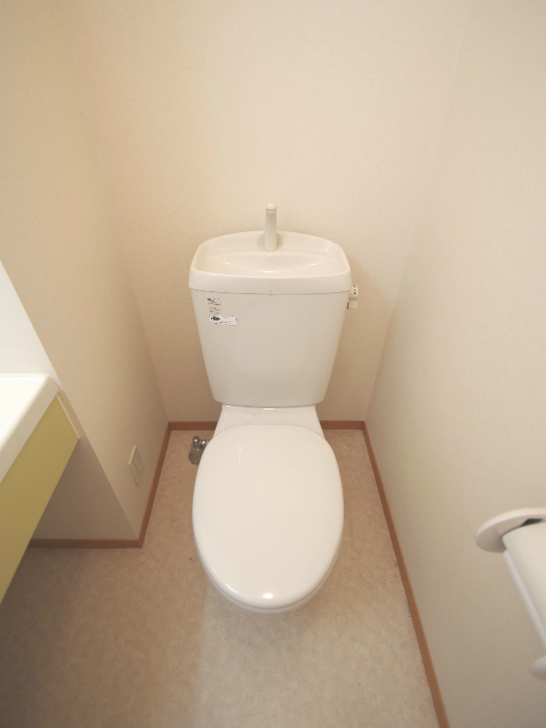 Toilet. This is useful for storage because there is a shelf at the top!