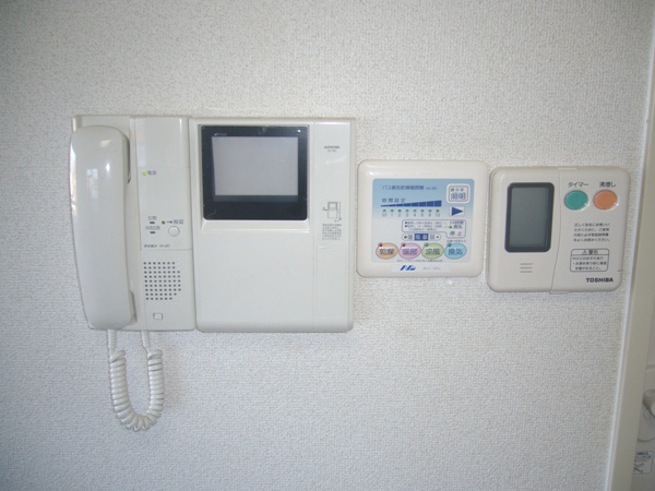 Security. TV monitor type intercom