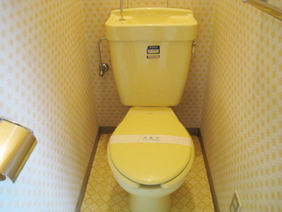 Toilet. Toilet