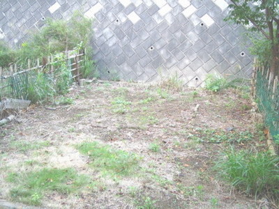 Balcony. It is a dedicated garden of spread