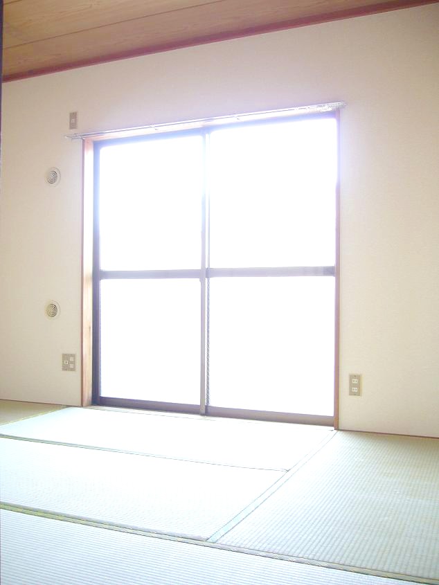 Other. Japanese style room