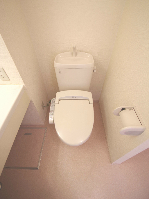 Toilet. Same building, It will be photos of the floor plan of the room. (image)