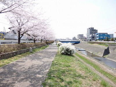 Other. 200m to Ooguri River (Other)