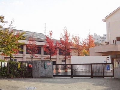 Primary school. Matsuki 150m up to elementary school (elementary school)