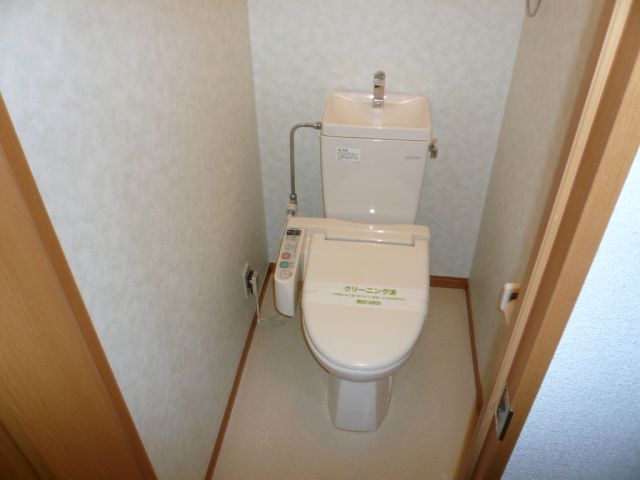 Toilet. Independent toilet