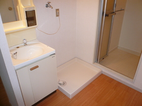 Washroom. Independent wash basin and washing machine inside the room