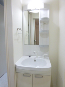 Washroom. Independent wash basin with a shower