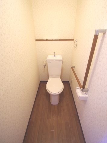 Toilet. Even if you're of our elderly is safe because there is a handrail! 