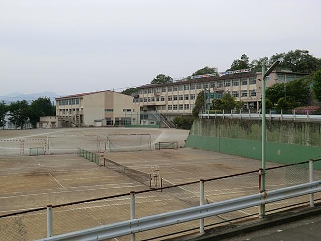 Junior high school. 373m to Hachioji TatsukabutonoHara junior high school