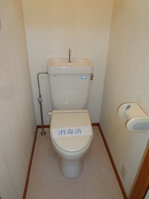 Toilet. Toilet