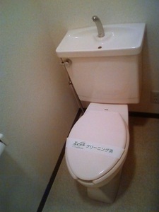 Toilet