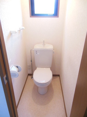 Toilet. It will tray photo