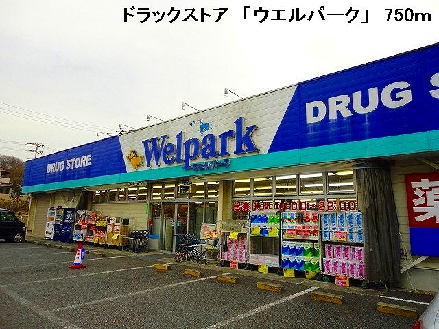 Dorakkusutoa. 750m until well Park (drugstore)