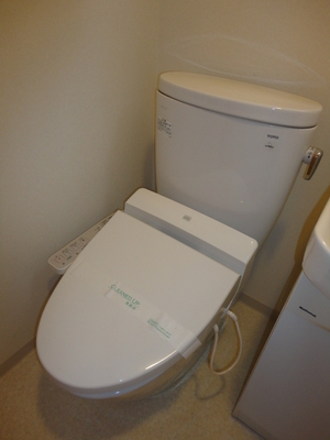 Toilet. Toilet is an important space