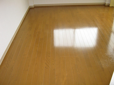 Living and room. Room of flooring Zhang