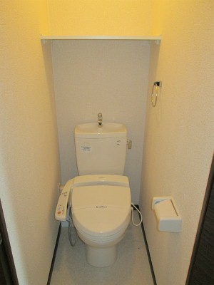 Toilet. Warm water washing toilet seat equipped! 
