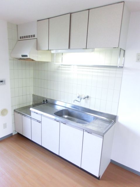 Kitchen. Sink is large storage at 2 lot gas stoves corresponding kitchen also rich
